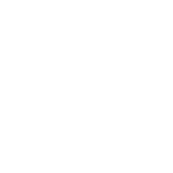 Dormic Plumning Logo